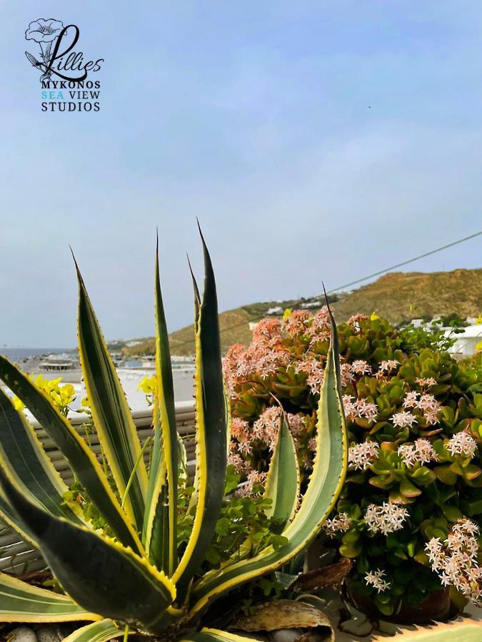 Lillies Mykonos Sea View Studios Тоурлос Экстерьер фото